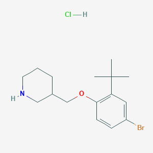 4-Bromo-2-(tert-butyl)phenyl 3-piperidinylmethyl ether hydrochloride