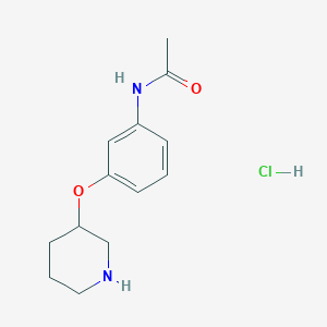 N-[3-(3-Piperidinyloxy)phenyl]acetamide hydrochloride