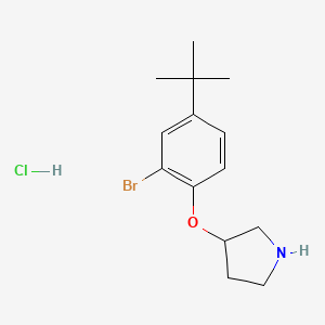 molecular formula C14H21BrClNO B1466516 3-[2-溴-4-(叔丁基)苯氧基]吡咯烷盐酸盐 CAS No. 1219967-74-4