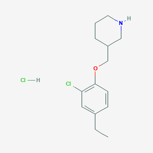 3-[(2-Chloro-4-ethylphenoxy)methyl]piperidine hydrochloride