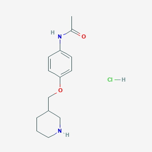 N-[4-(3-Piperidinylmethoxy)phenyl]acetamide hydrochloride