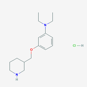 N,N-Diethyl-3-(3-piperidinylmethoxy)aniline hydrochloride