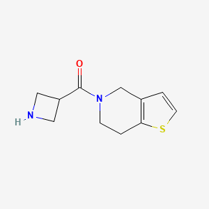 molecular formula C11H14N2OS B1467013 3-{4H,5H,6H,7H-thieno[3,2-c]pyridine-5-carbonyl}azetidine CAS No. 1462334-36-6