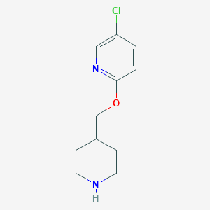 molecular formula C11H15ClN2O B1467190 5-Chloro-2-(piperidin-4-ylmethoxy)pyridine CAS No. 1247750-39-5