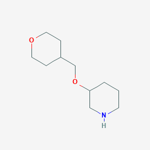 molecular formula C11H21NO2 B1467318 3-((四氢-2H-吡喃-4-基)甲氧基)哌啶 CAS No. 933758-73-7