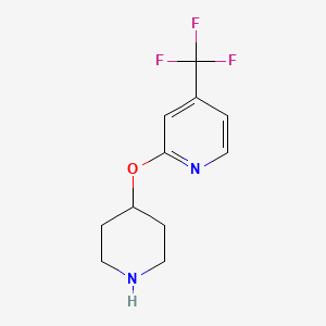 molecular formula C11H13F3N2O B1467668 2-(Piperidin-4-yloxy)-4-(trifluoromethyl)pyridine CAS No. 1428233-27-5