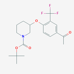 molecular formula C19H24F3NO4 B1467879 3-(4-Acetyl-2-trifluoromethyl-phenoxy)-piperidine-1-carboxylic acid tert-butyl ester CAS No. 1100768-25-9