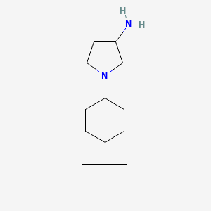 molecular formula C14H28N2 B1468158 1-(4-(Tert-butyl)cyclohexyl)pyrrolidin-3-amine CAS No. 755730-01-9