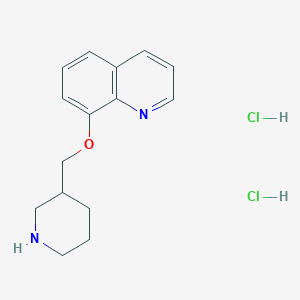 molecular formula C15H20Cl2N2O B1468283 8-(3-Piperidinylmethoxy)quinoline dihydrochloride CAS No. 1211513-32-4