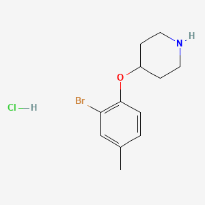 molecular formula C12H17BrClNO B1468289 4-(2-Bromo-4-methylphenoxy)piperidine hydrochloride CAS No. 1211513-35-7