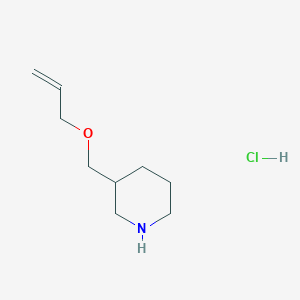 molecular formula C9H18ClNO B1468290 3-[(Allyloxy)methyl]piperidine hydrochloride CAS No. 956324-34-8