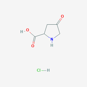 molecular formula C5H8ClNO3 B1468293 4-氧代吡咯烷-2-羧酸盐酸盐 CAS No. 98142-78-0