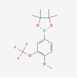 molecular formula C14H18BF3O4 B1468304 1,3,2-Dioxaborolane, 2-[4-methoxy-3-(trifluoromethoxy)phenyl]-4,4,5,5-tetramethyl- CAS No. 1005009-96-0