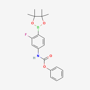 molecular formula C19H21BFNO4 B1468361 Phenyl(3-fluoro-4-(4,4,5,5-tetramethyl-1,3,2-dioxaborolan-2-yl)phenyl)carbamate CAS No. 1245252-62-3
