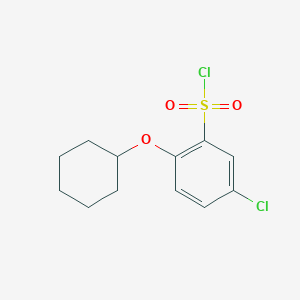 molecular formula C12H14Cl2O3S B1468415 5-氯-2-(环己氧基)苯-1-磺酰氯 CAS No. 1341440-13-8