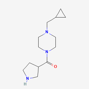molecular formula C13H23N3O B1468684 1-(Cyclopropylmethyl)-4-(pyrrolidine-3-carbonyl)piperazine CAS No. 1479245-41-4