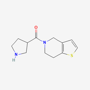 3-{4H,5H,6H,7H-thieno[3,2-c]pyridine-5-carbonyl}pyrrolidine
