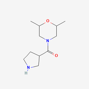 molecular formula C11H20N2O2 B1468736 2,6-二甲基-4-(吡咯烷-3-羰基)吗啉 CAS No. 1343906-92-2