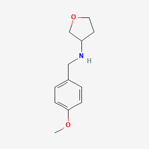 molecular formula C12H17NO2 B1468787 N-[(4-methoxyphenyl)methyl]oxolan-3-amine CAS No. 1341464-58-1