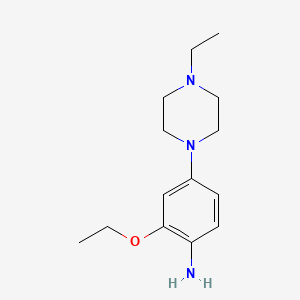 molecular formula C14H23N3O B1468789 2-Ethoxy-4-(4-ethylpiperazin-1-yl)aniline CAS No. 1409707-64-7