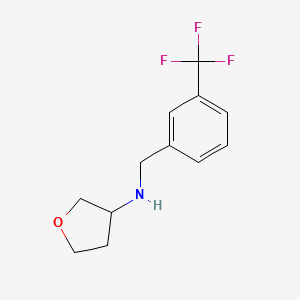 molecular formula C12H14F3NO B1468949 N-{[3-(trifluoromethyl)phenyl]methyl}oxolan-3-amine CAS No. 1281215-29-9