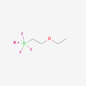 molecular formula C4H9BF3KO B1469065 (2-乙氧基乙基)三氟硼酸钾 CAS No. 1408168-71-7