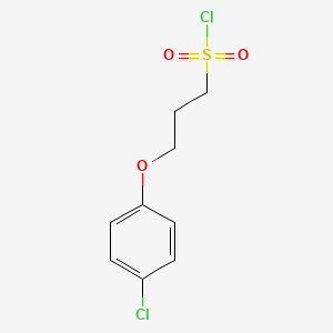 molecular formula C9H10Cl2O3S B1469166 3-(4-Chlorophenoxy)propane-1-sulfonyl chloride CAS No. 1018271-63-0