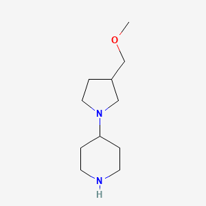 molecular formula C11H22N2O B1469321 4-[3-(Methoxymethyl)pyrrolidin-1-yl]piperidine CAS No. 864356-20-7