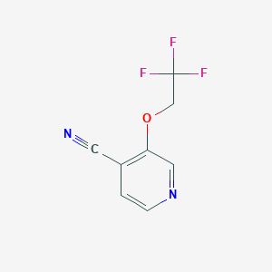 molecular formula C8H5F3N2O B1469355 3-(2,2,2-Trifluoroethoxy)isonicotinonitrile CAS No. 1282537-84-1