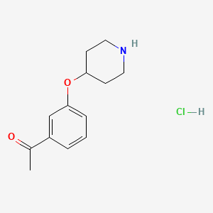 molecular formula C13H18ClNO2 B1469404 1-(3-(Piperidin-4-yloxy)phenyl)ethanone hydrochloride CAS No. 1304787-61-8