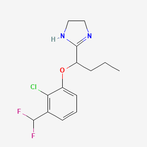 B1469506 2-(1-(2-Chloro-3-(difluoromethyl)phenoxy)butyl)-4,5-dihydro-1H-imidazole CAS No. 1134637-59-4