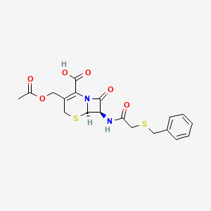 Cephalosporin 7/1