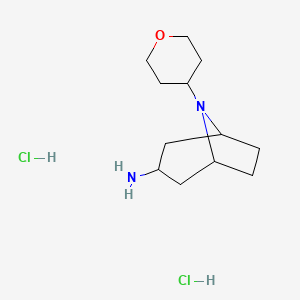 molecular formula C12H24Cl2N2O B1469874 8-(tetrahydro-2H-pyran-4-yl)-8-azabicyclo[3.2.1]octan-3-amine dihydrochloride CAS No. 1864064-50-5