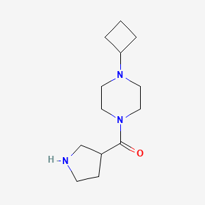molecular formula C13H23N3O B1469876 (4-Cyclobutylpiperazin-1-yl)(pyrrolidin-3-yl)methanone CAS No. 2034636-84-3