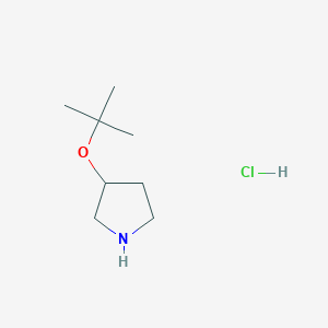 molecular formula C8H18ClNO B1469942 3-(Tert-butoxy)pyrrolidine hydrochloride CAS No. 2197481-93-7