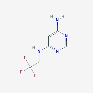 molecular formula C6H7F3N4 B1470733 N4-(2,2,2-trifluoroethyl)pyrimidine-4,6-diamine CAS No. 1502054-05-8
