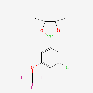 molecular formula C13H15BClF3O3 B1470955 3-Chloro-5-(trifluoromethoxy)phenylboronic acid, pinacol ester CAS No. 1803320-97-9