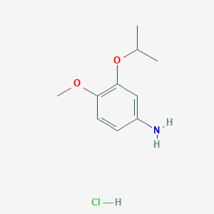 molecular formula C10H16ClNO2 B1471037 4-Methoxy-3-(propan-2-yloxy)aniline hydrochloride CAS No. 1461705-57-6