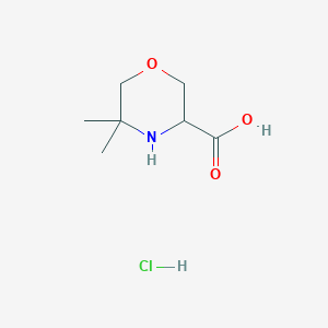 molecular formula C7H14ClNO3 B1471087 5,5-Dimethylmorpholine-3-carboxylic acid hydrochloride CAS No. 1796909-80-2