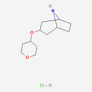 molecular formula C12H22ClNO2 B1471230 3-((tetrahydro-2H-pyran-4-yl)oxy)-8-azabicyclo[3.2.1]octane hydrochloride CAS No. 2098045-27-1
