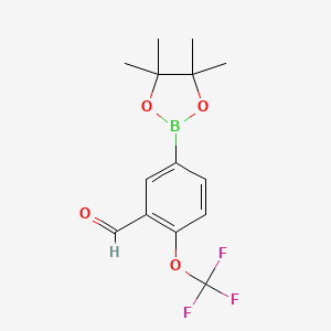 molecular formula C14H16BF3O4 B1472009 5-(4,4,5,5-Tetramethyl-1,3,2-dioxaborolan-2-yl)-2-(trifluoromethoxy)benzaldehyde CAS No. 923281-74-7