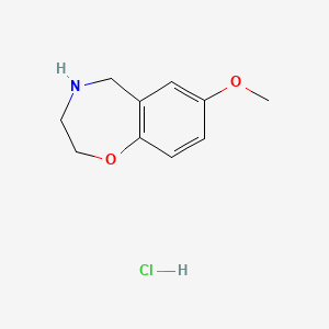 molecular formula C10H14ClNO2 B1472499 7-Methoxy-2,3,4,5-tetrahydro-1,4-benzoxazepine hydrochloride CAS No. 1803590-90-0