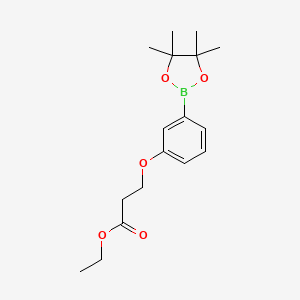 molecular formula C17H25BO5 B1472501 3-[3-(4,4,5,5-Tetramethyl-[1,3,2]dioxaborolan-2-yl)-phenoxy]-propionic acid ethyl ester CAS No. 1429323-80-7