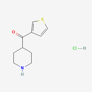 Piperidin-4-yl(thiophen-3-yl)methanone hydrochloride