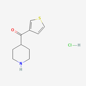 molecular formula C10H14ClNOS B1472661 Piperidin-4-yl(thiophen-3-yl)methanone hydrochloride CAS No. 1558734-94-3