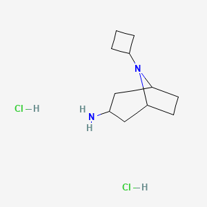 molecular formula C11H22Cl2N2 B1472719 8-Cyclobutyl-8-azabicyclo[3.2.1]octan-3-amine dihydrochloride CAS No. 2098025-79-5