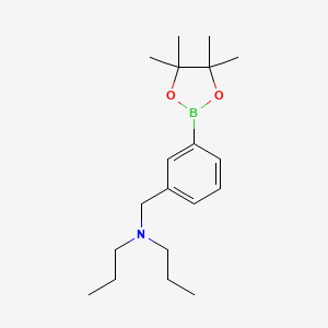molecular formula C19H32BNO2 B1472875 3-((Di-n-propylamino)methyl)phenylboronic acid pinacol ester CAS No. 1454653-70-3