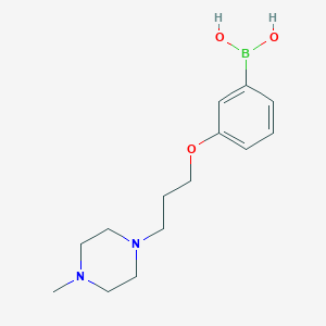(3-(3-(4-Methylpiperazin-1-yl)propoxy)phenyl)boronic acid