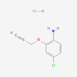 molecular formula C9H9Cl2NO B1473431 [4-Chloro-2-(prop-2-yn-1-yloxy)phenyl]amine hydrochloride CAS No. 2098113-54-1