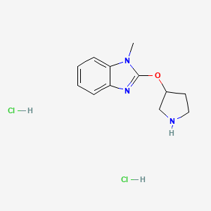 molecular formula C12H17Cl2N3O B1473434 1-methyl-2-(pyrrolidin-3-yloxy)-1H-1,3-benzodiazole dihydrochloride CAS No. 2097997-14-1